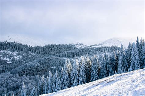 Ski Resorts In Romania Outdooractive