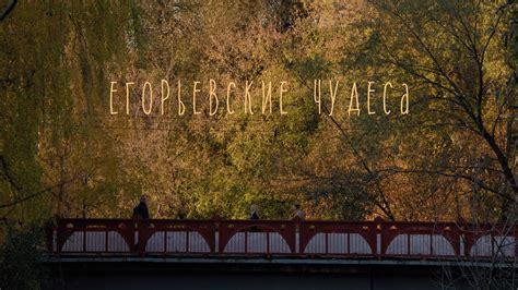 «Егорьевские чудеса». Егорьевский историко-художественный музей - YouTube
