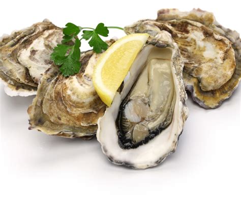 Buy Oyster 1kg Online at the Best Price, Free UK Delivery - Bradley's Fish