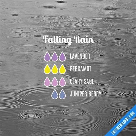 Falling Rain Promotes Calm Essential Oil Remedy Essential Oil