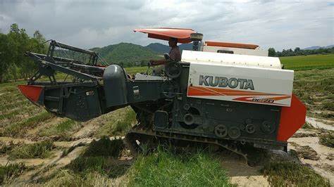 Rice Harvesting At Country Side Part Combine Harvester Kubota Dc