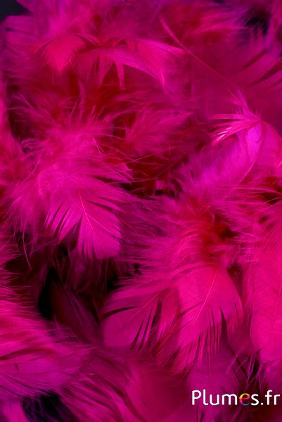 Poule 5 9 Cm Fuchsia Plumes Fr