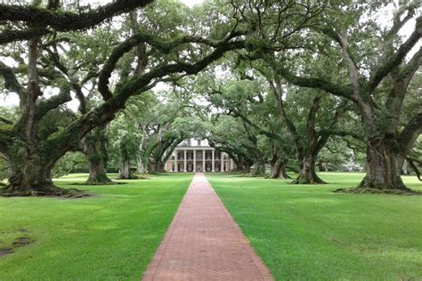 Excursi N A La Plantaci N Oak Alley Desde Nueva Orleans