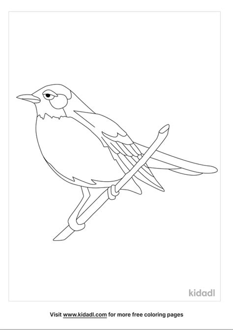 Connecticut State Bird Coloring Pages Free Birds Coloring Pages