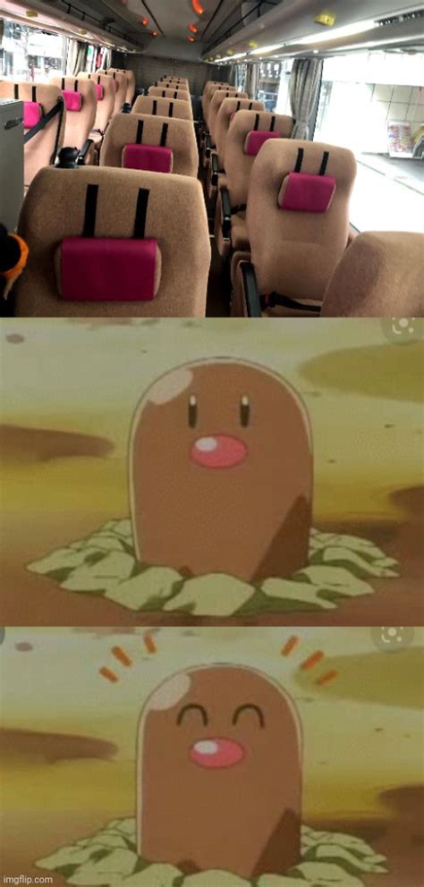 Pokemonstream Diglett Memes And S Imgflip