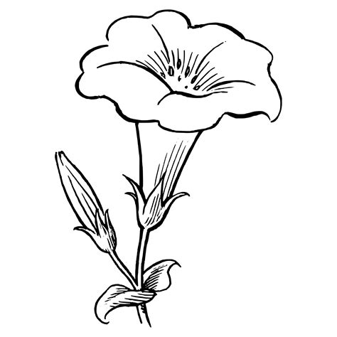 Dibujos De Flores Grandes Para Colorear Printable Flower Coloring