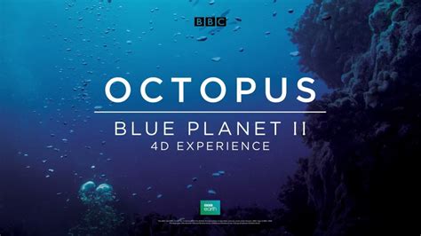 Octopus: Blue Planet II 4D Experience | Washington DC