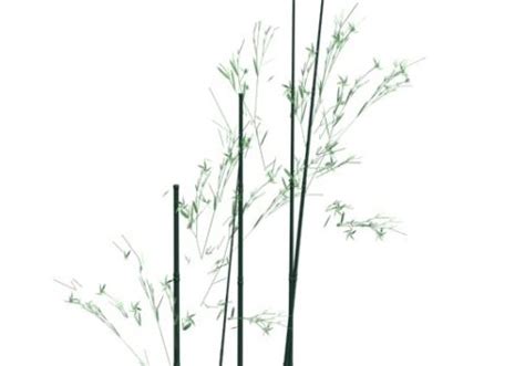 Garden Bamboo Plant 3d Model Max 123free3dmodels