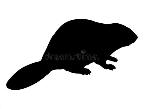 Beaver Silhouette Vector Art White Background Stock Vector - Illustration of wild, smile: 290775246