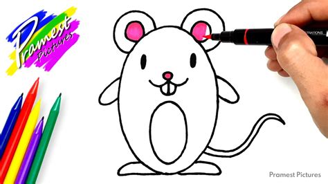Tikus Cara Menggambar Dan Mewarnai Gambar Hewan Untuk Anak Youtube