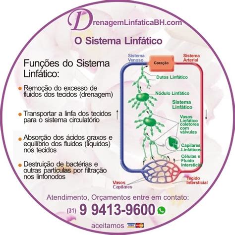 Drenagem Linfatica O Que É