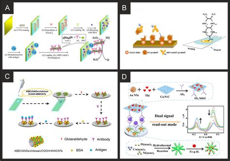 A Schematic Processes Of The Immunosensor Fabrication Based On