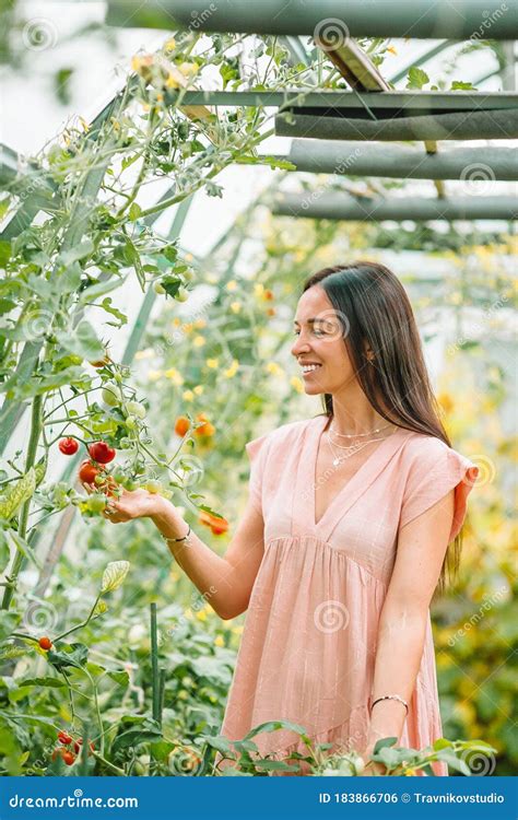 Beautiful Young Woman Gardening In The Greenhouse Stock Photo Image