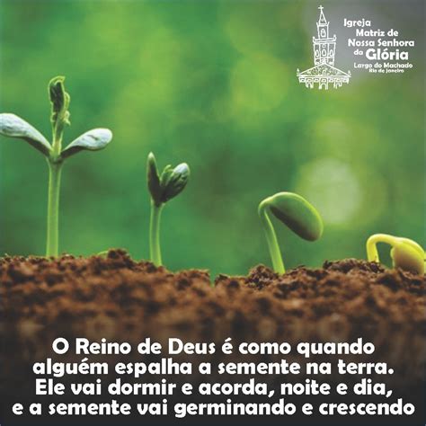 Jesus Comparou O Reino De Deus A Qual Semente - “O Reino de Deus é como quando alguém espalha a semente na terra.