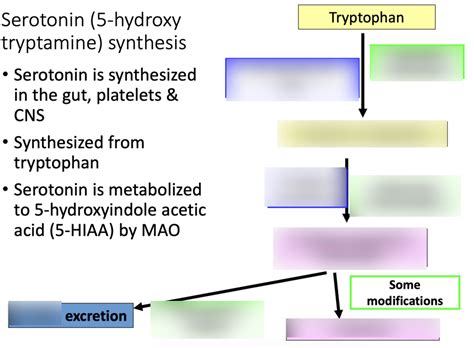 Synthesis of Serotonin & Melatonin Diagram | Quizlet