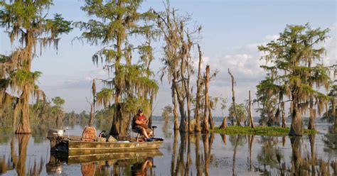 12 Best Swamp Tours in Louisiana ️ 2024 Update