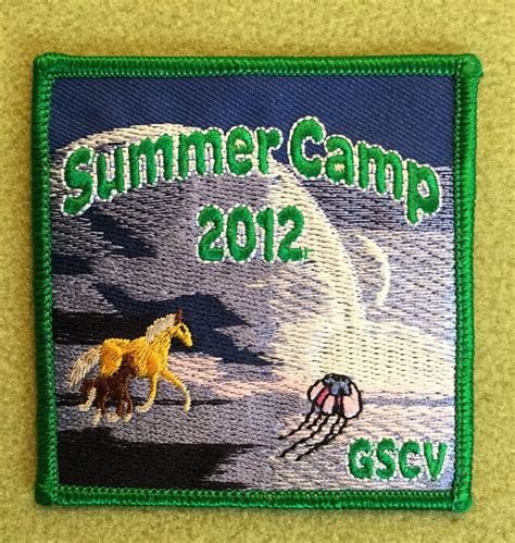 Girl Scouts Commonwealth Of Virginia 100th Anniversary Patch Summer