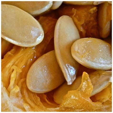 Тыквенные Семечки С Медом Творят Чудеса Лучшая Фото Подборка