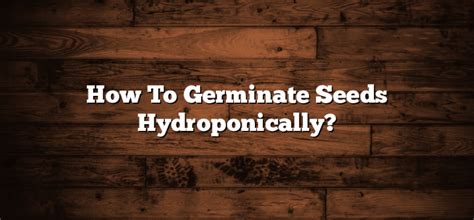 How To Germinate Seeds Hydroponically Inter Culturalu