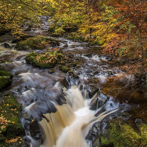 Autumn Colours in Perthshire, Scotland Stock Image - Image of autumn, hermitage: 161955697