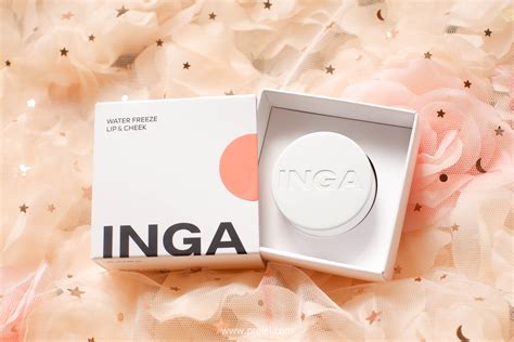 INGA Water Freeze Lip Cheek Nude Coral Review
