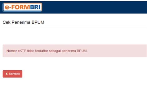 Nik Ktp Tidak Terdaftar Di Eform Bri Co Id Bisa Dapat Bpum Umkm Rp