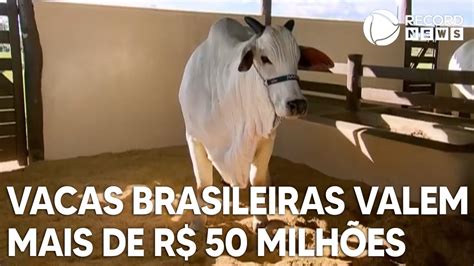 Vacas mais caras do país valem mais de R 50 milhões YouTube