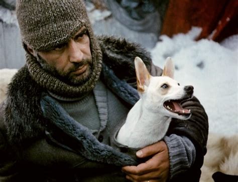 Фото: Красная палатка / Скриншот фильма «Красная палатка» (1969) #3665521