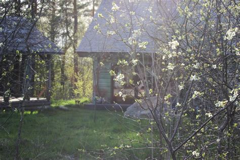 Сельский шик