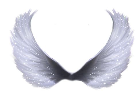 Wings Transparent HQ PNG Download | FreePNGimg