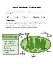 Bio Discussion Worksheet Pdf Chapter Worksheet