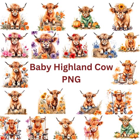 93 Baby Highland Cow PNG Bundle, Baby Highland Cow Clipart, Transparent ...