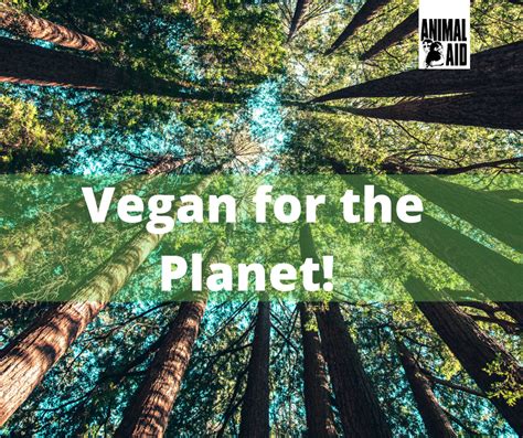 Five Reasons To Go Vegan This World Vegan Day Animal Aid