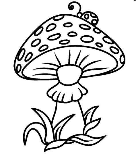 mushroom  bug coloring page  printable coloring pages