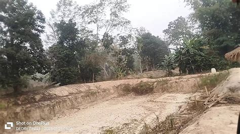 Inside The Forest Indian Gay College Black Porn Xhamster