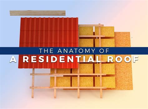 The Anatomy of a Residential Roof