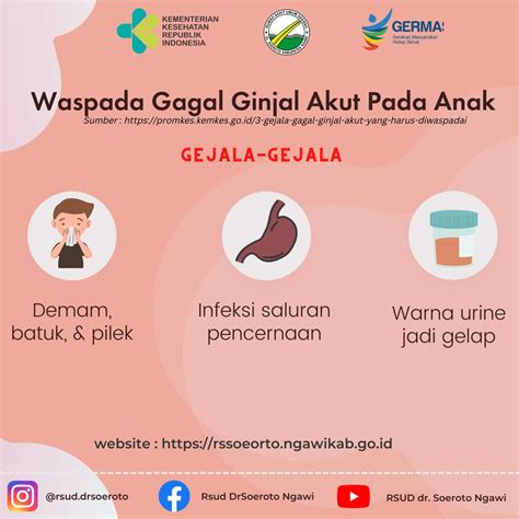 Waspada Gagal Ginjal Akut Pada Anak Rsud Dr Soeroto Kabupaten Ngawi