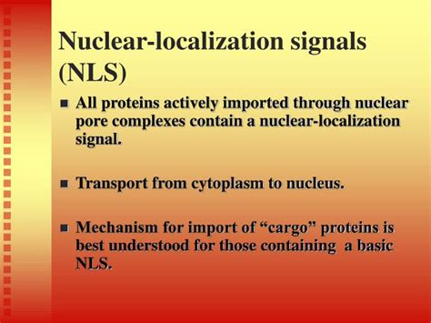 PPT Signal Mediated Transport Through Nuclear Pore Complex PowerPoint