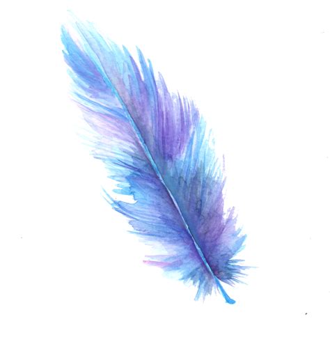Download High Quality Feather Clipart Transparent Background