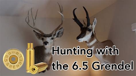 Hunting With The 6 5 Grendel Youtube