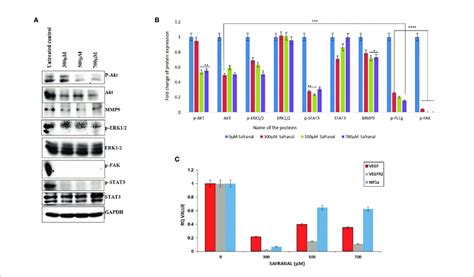 Safranal Inhibited Vegf Induced Angiogenesis Signaling Pathway In Hcc