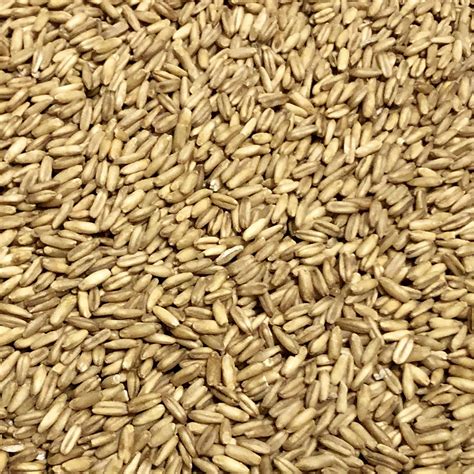 What Are Malted Naked Oats The Swaen