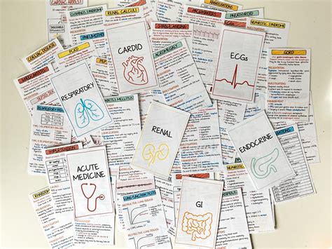 Pharmacology Flash Cards for sale | Only 3 left at -60%