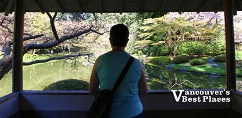 Ubc Nitobe Japanese Garden Vancouvers Best Places