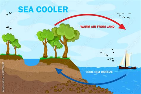 Science Poster Design For Sea And Land Breeze Shore Wind Scheme Air