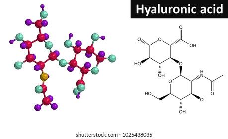 Molecular Structure Hyaluronic Acid Hyaluronan 3d Stock Illustration