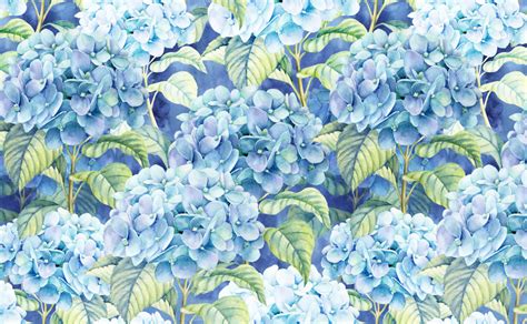 Hydrangea Garden Wallpapers - Wallpaper Cave