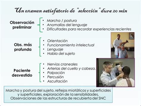 Semiolog A Sistema Nervioso Ppt