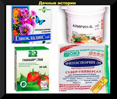 Совместимость биопрепаратов: что можно, а что нет смешивать с ...