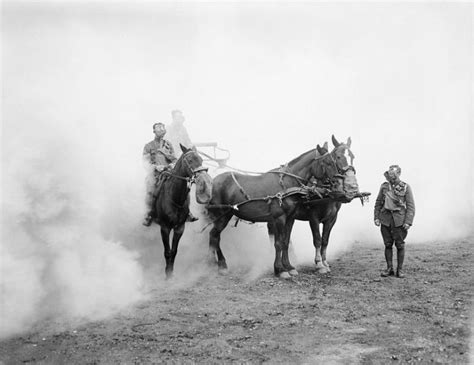 The Real War Horse: WWI Grave Saved From Development Plans